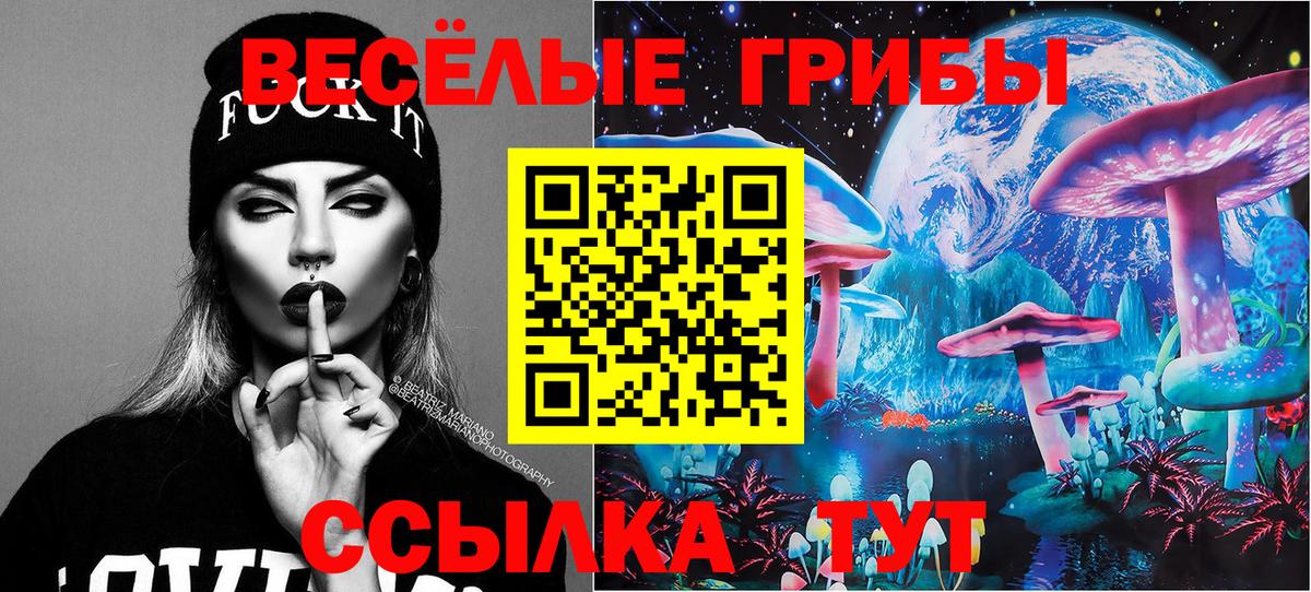 Псилоцибиновые грибы Magic Shrooms  Вход с VPN  где можно купить наркотик  Ахтубинск 